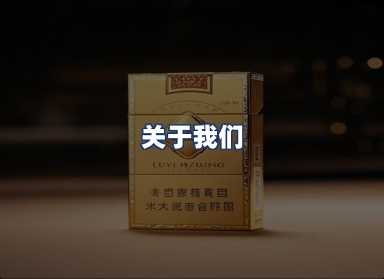 关于我们